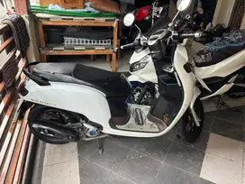 Scoopy 2020 …13 jta nett