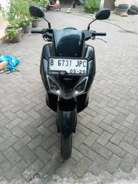 Lexi 2019 Pajak ON Kaleng Panjang