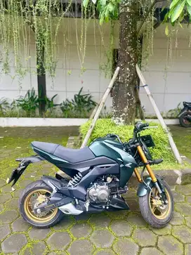 Kawasaki Z 125 pro 2024