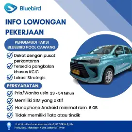 Driver online BB