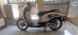 Scoopy karbu 2013 limited karbu terakhir,NEGO langsung aja liat unit