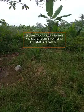 Tanah murah dangau strategis dekat dari jalan raya di Parung Bogor