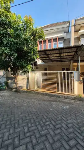 Green semanggi mangrove Modern minimalis Row 3 Mobil