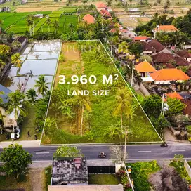 39Are Main Street Land In Ubud