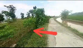 Tanah Sawah 2300m² Samping Irigasi Cariu Jonggol Cileungsi Bogor timur