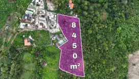 Tanah Murah Link Villa Zona Pariwisata Pecatu Bali
