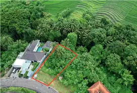 For sale freehold land  greenlot sambhada