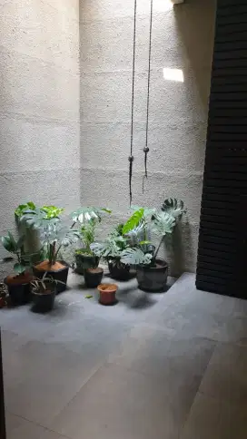 Rumah cantik full furnished turangga bandung jual murah