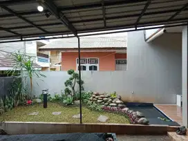 Tukang kolam ikan koi