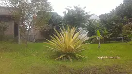 Tanah Di Senam Indah Arcamanik Jarang Ada