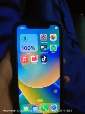 iPhone X 256 Wifi Only