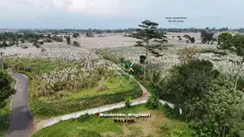 Dijual Tanah Kavling Super Luas Di Mondoroko, Singosari Malang(OLX318)