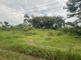 Investasi Tanah Malang Dekat UIN 3 Cocok Banget untuk Masa Depan