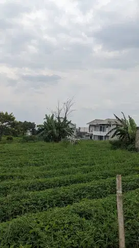 Dijual Tanah Malang Lokasi Strategis Cocok Hunian atau Investasi