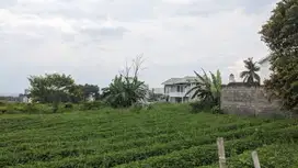 Peluang Investasi! Tanah Malang SHM di Kawasan Ramai