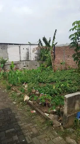 Tanah hunian puntodewo tumpang malang