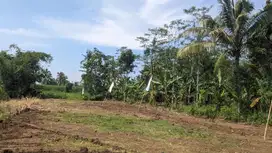 Tanah Malang Legal SHM, Dekat Samsat Kota dan Jalan Utama