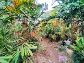 Tanah Dijual Dalam Kompleks Permata Hijau Grogol Utara Kebayoran Lama