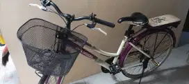 Sepeda Polygon Sierra Lite Klasik Keranjang