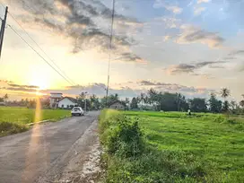 Dekat RSUD Merah Putih Blondo Magelang : Tanah Buat hunian