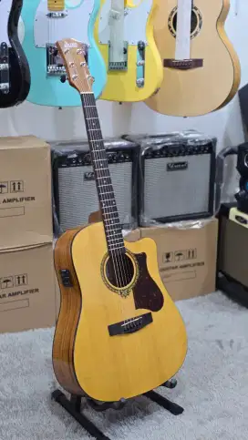 Gitar Dluxe DW 110 G Akustik Elektrik