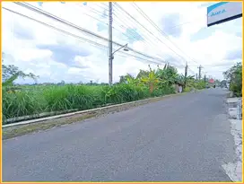 Kavling Ruko dekat Pamela 7 Kalasan, SHM Pekarangan
