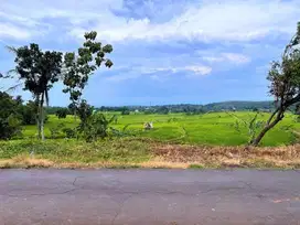View Sawah 111m 65Jt Selatan Kecamatan Kerjo, Karanganyar