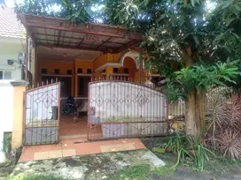 Jual Rumah Bebas Banjir 1 Lt Dekat Terminal Cileungsi Bisa KPR J-17185