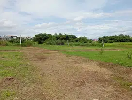 Kavling Murah Ciampea Kab Bogor, Area Premium View Bukit Lalana