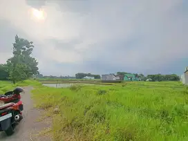 Utara Tugu Kartasura, Tanah Murah 300 Jutaan Solo Raya