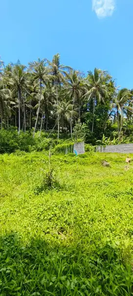 Dijual Cepat Tanah 200m2 Di Pejeng Ubud Bali