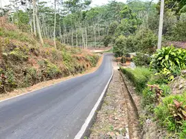 Tanah Tepi Jl DPU 1000m 250Jt Kerjo - Kemuning