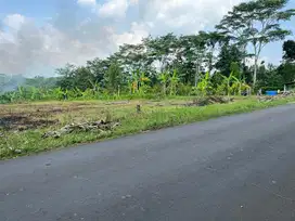 Tanah Zona Kuning 3000m Tepi Jl Raya Kerjo - Sragen
