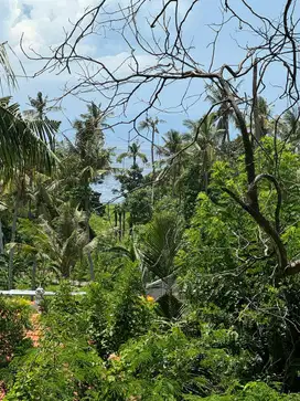 Disewakan Tanah di Padang Bai Investasi Menjanjikan Di Pesisir Pantai