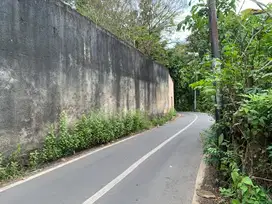 Disewakan Jangka Panjang Tanah Akses Jalan Pantai Balangan