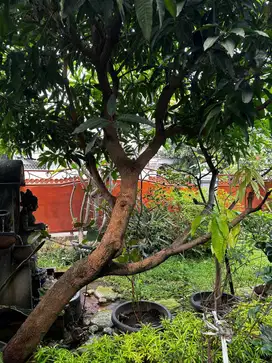 Rumah 2 lantai Komplek Elang Malindo di Jatiwaringin, Jakarta Timur.