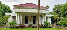 Dijual Murah Rumah Margasatwa Raya, Jakarta Rumah luas classic mewah