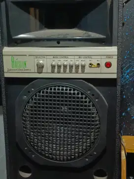 Speaker Briston 12 inc