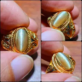 Cat's Eye Srilanka HQ