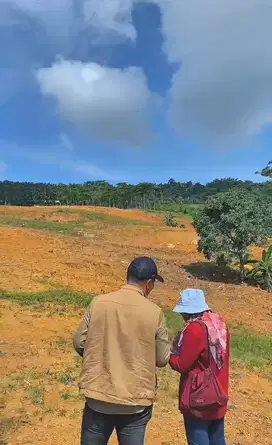 Jual Tanah Harmoni,Udara sejuk Di ketinggian 400 Mdpl View Peguningan