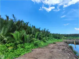 Tanah Cijulang Batukaras Pangandaran Cocok untuk Resort & Area Wisata