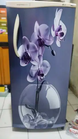 Kulkas LG Exprescool 1 pintu