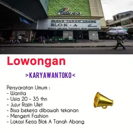 Loker Karyawan Toko