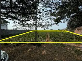 Tanah SHM Luas 2.280 Meter PAITON Probolinggo