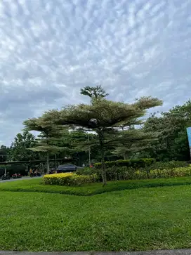 Asisten Rumah Tangga (ART) - Dekat Bintaro Xchange