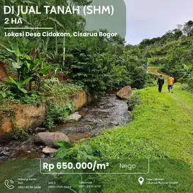 Dijual Tanah 2 Ha SHM – Nyondong Mata Air, Harga 650rb/m² Nego