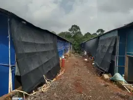Jual tanah bonus kandang ayam