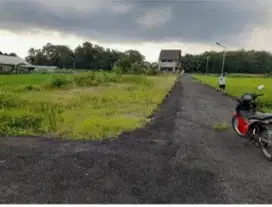 Dijual Kapling Termurah Di Berbah Sleman
