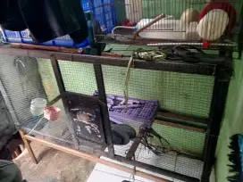 Bismillah semoga laku
