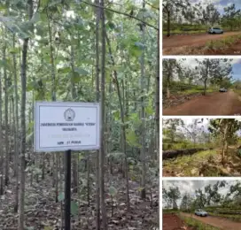 TANAH PEKARANGAN PACAREJO , SEMANU,  WONOSARI